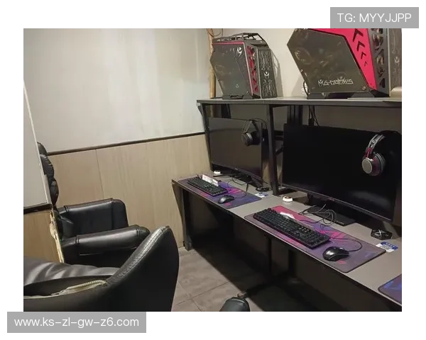 尊龙电游游戏：专业的技术团队保障游戏稳定运行，确保每一位玩家都能畅快娱乐无忧