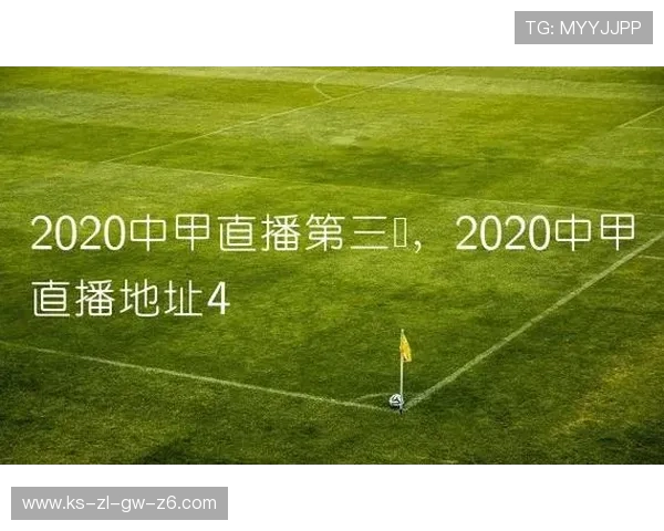 亚搏手机版欢迎你：用户评价与反馈，真实体验助你选择最优体育平台