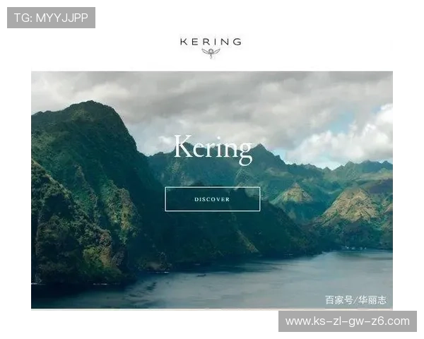 开云官网介绍：了解品牌历史与发展背景全面解析